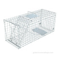 Humane Collapsible Dog/fox Trap Cage Trap Anti-rusty Reusable animal trap cage Factory